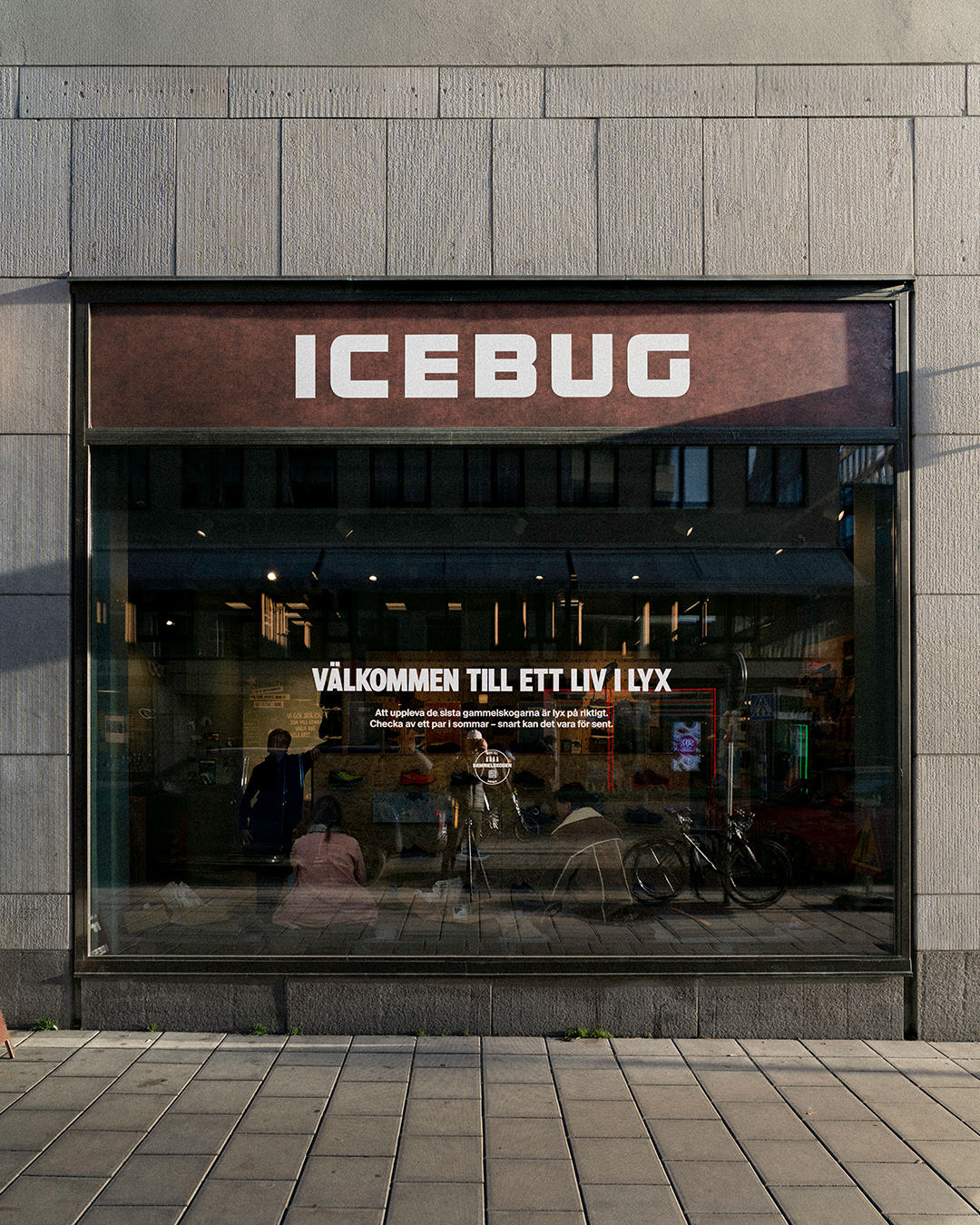 Icebug-image